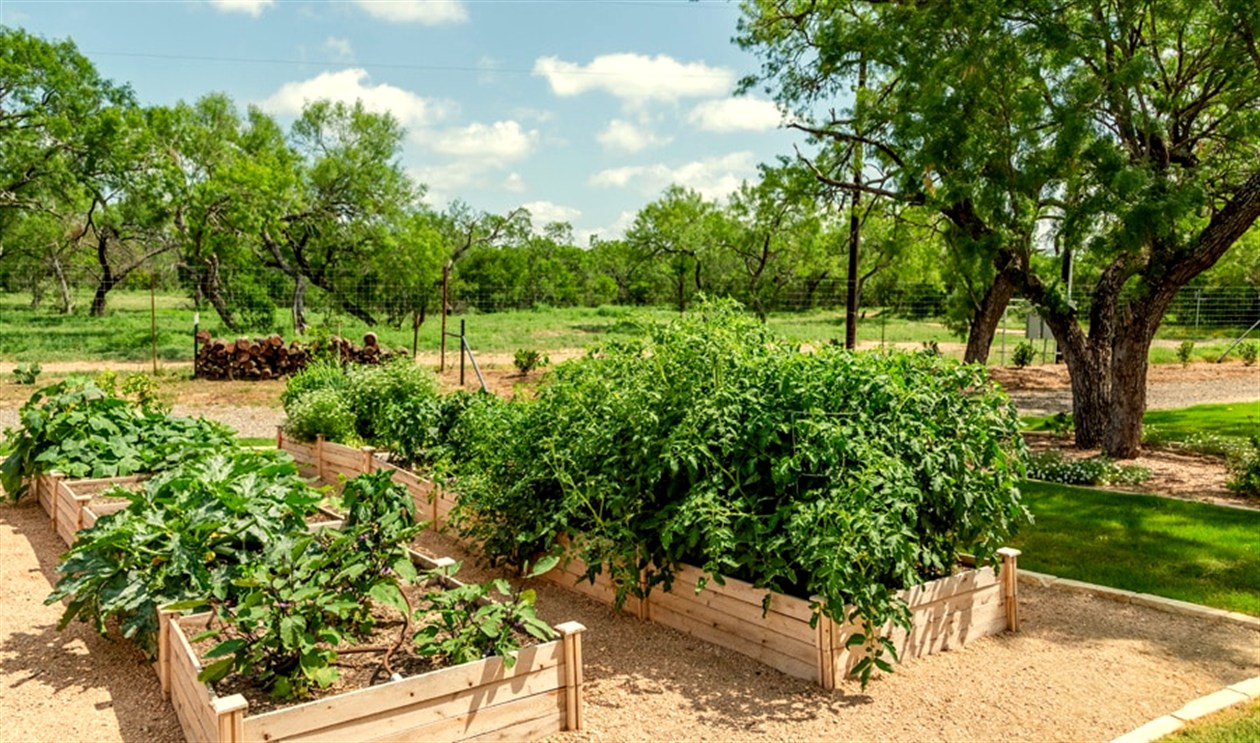 The grounds set for an event
